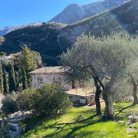 Olive Grove House Appartement Malcesine Buitenkant foto