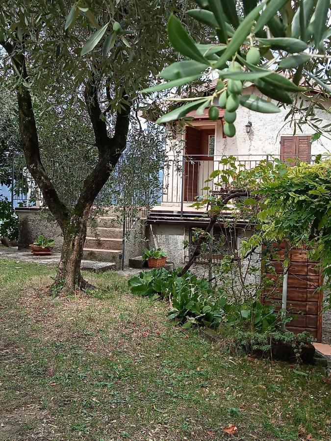 Olive Grove House Appartement Malcesine Buitenkant foto