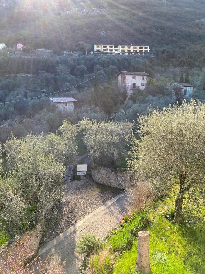 Olive Grove House Appartement Malcesine Buitenkant foto