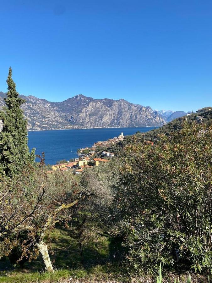 Olive Grove House Appartement Malcesine Buitenkant foto